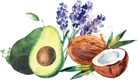 avocado lavender coconut
